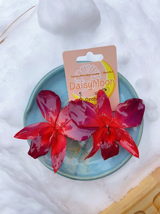 3D Orchid earrings-Red
