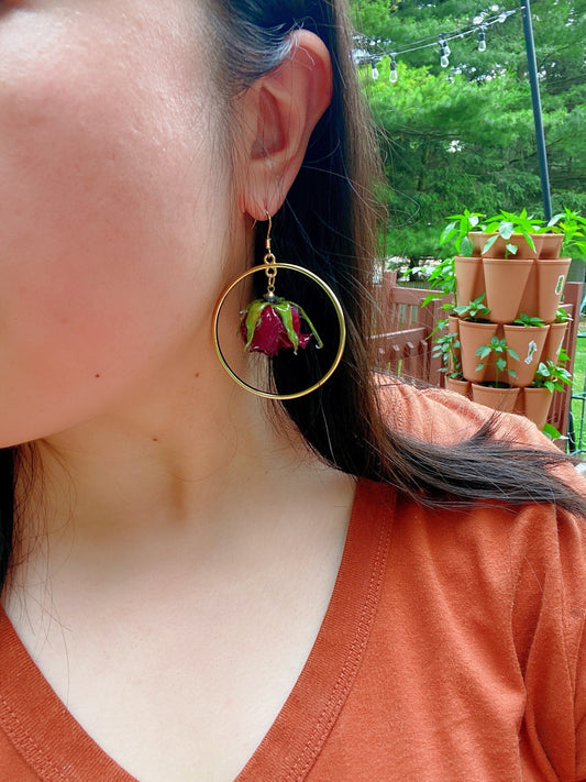 Dried 3D rose hoop earrings, Sterling silver post, Gifts for her, Botanical earrings, Real flower earrings