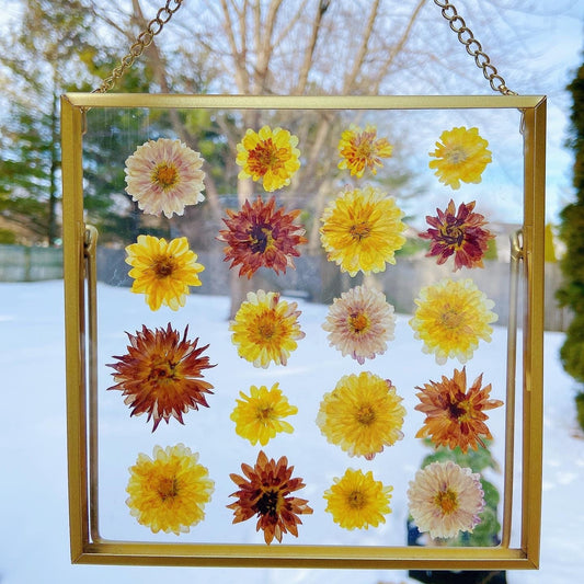 Pressed mums flower wall frame decor, Mother’s Day gift, wall hanging art, wedding decoration, wedding gift