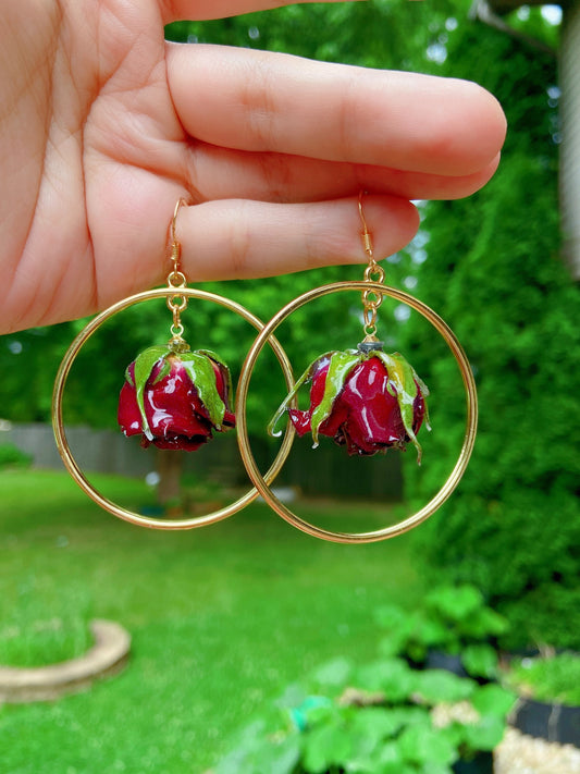 Dried 3D rose hoop earrings, Sterling silver post, Gifts for her, Botanical earrings, Real flower earrings