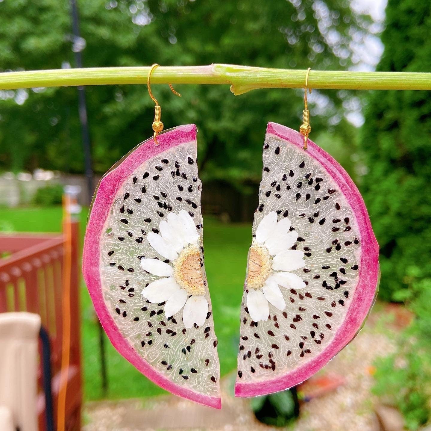 Dragon fruit earrings